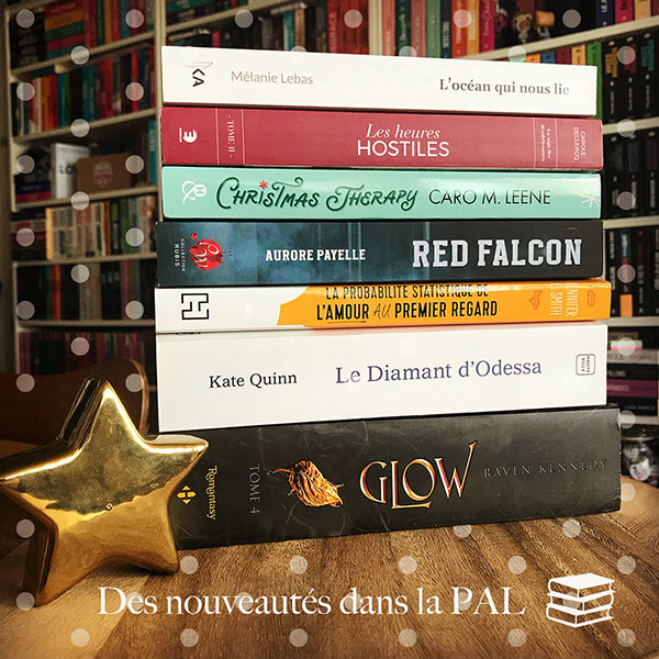 Red Falcon - Livre de Aurore Payelle